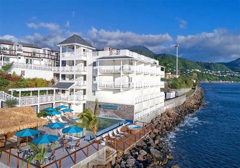 roseau hotels|Best Hotel Dominica .